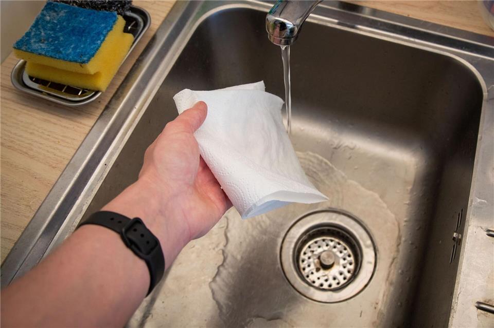 Schritt 3: Küchenpapier mit Wasser befeuchten und auswringen.Christin Klose/dpa-tmn