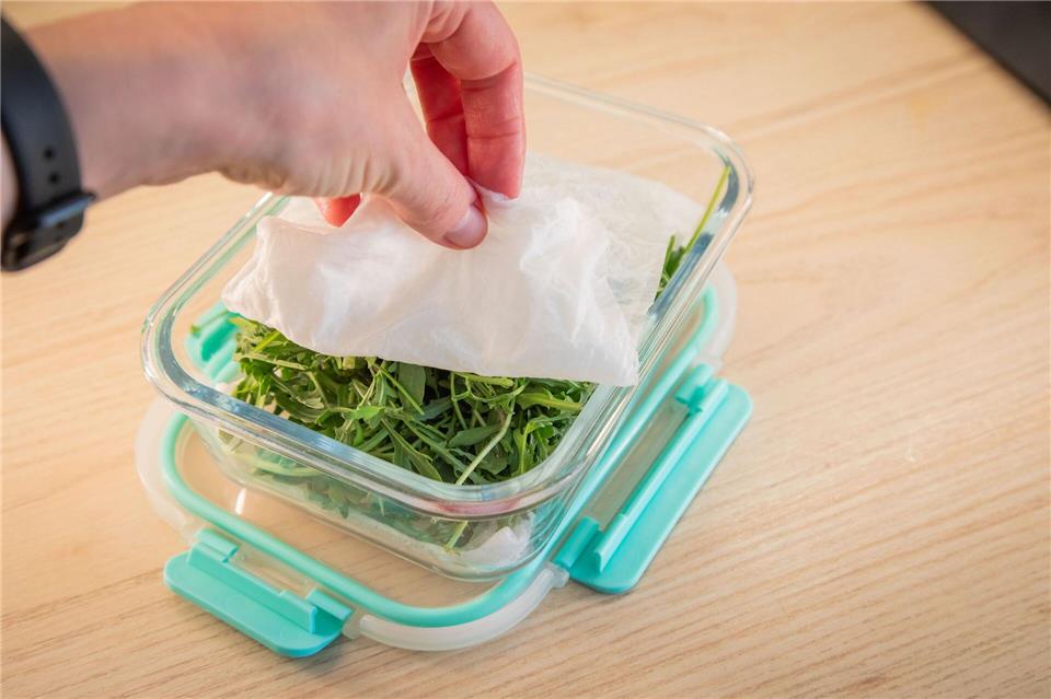 Schritt 4: Den Rucola mit dem feuchten Küchenpapier abdecken.Christin Klose/dpa-tmn