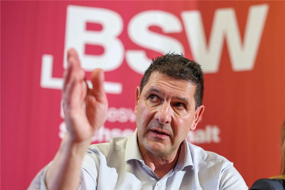 Schulze ist derzeit im Vorsitz des BSW-Landesverbandes. Jan Woitas/dpa