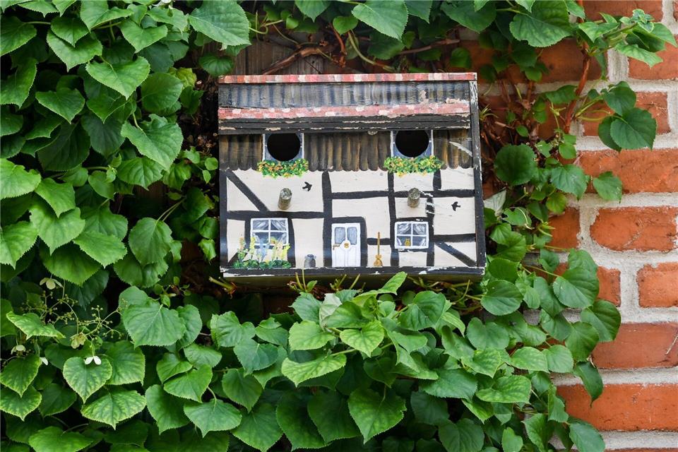 Schutz in der Umgebung macht den Kasten für die Vögel noch attraktiver.Jens Kalaene/dpa-Zentralbild/dpa-tmn