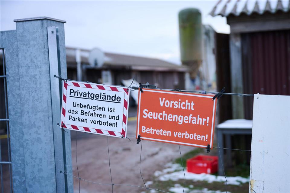 Schutzmaßnahmen sind angelaufen nach dem Ausbruch der Maul- und Klauenseuche.Annette Riedl/dpa