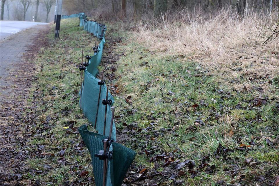Schutzzäune sollen Amphibien auf Wanderung vor dem Tod auf der Straße bewahren. (Symbolbild)Bodo Schackow/dpa