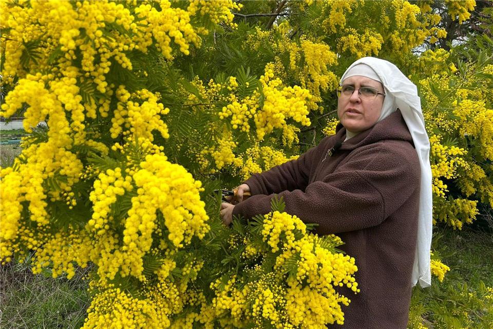 Schwester Paloma beklagt eine „Verfolgung“ und bittet um Hilfe. (Handoutbild)---/Francisco Canals/dpa