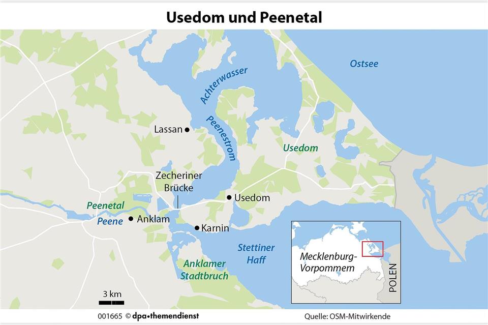 Seeadler lassen sich auf und bei Usedom besonders gut an den Brücken bei Wolgast (im Norden, nicht auf der Karte) und Zecherin sowie an der Hubbrücke bei Karnin beobachten. Und im Peenetal bei Anklam.dpa-Infografik/dpa-tmn