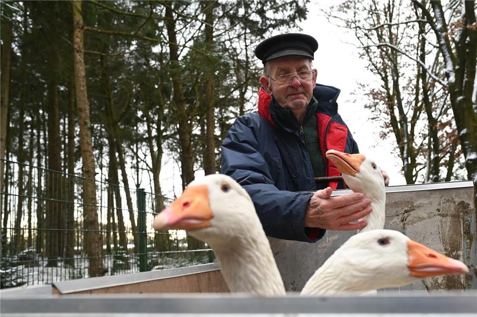 Seine drei Gänse Paul, Pauline und Wilma will Ludwig Smidt regelmäßig im Tierpark besuchen.Lars Penning/dpa