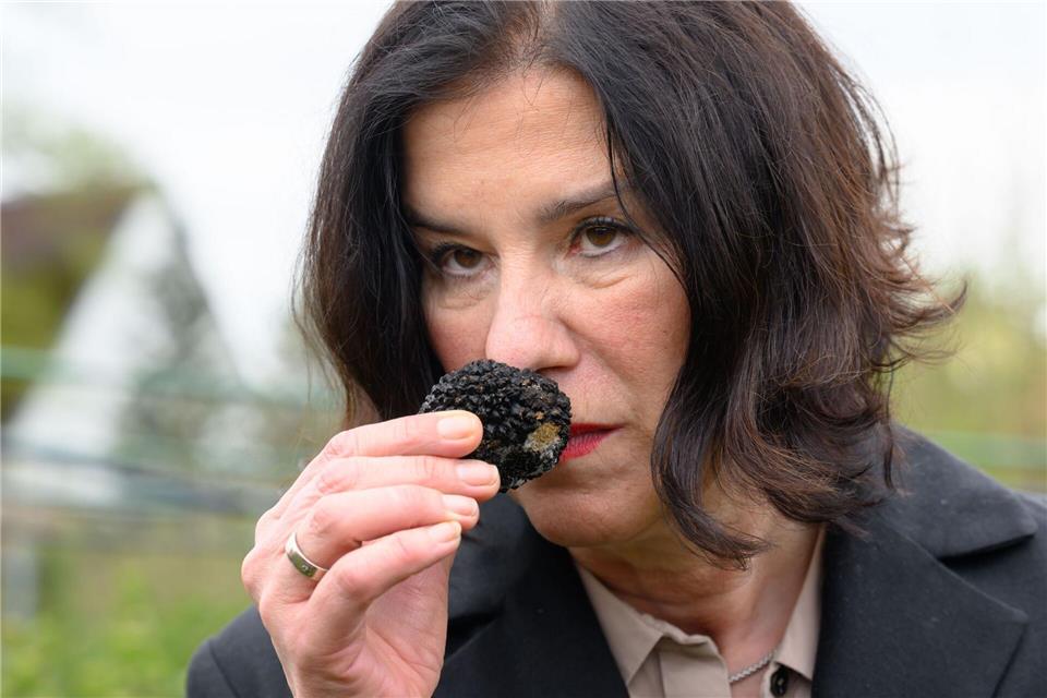 Seit 2016 züchtet die Thüringer Freilandpilze GmbH Trüffel und baut verschiedene Pilzarten wie Austernseitlinge und Shiitake an. Agrarministerin Colette Boos-John (CDU) verschafft sich einen Eindruck.Hendrik Schmidt/dpa