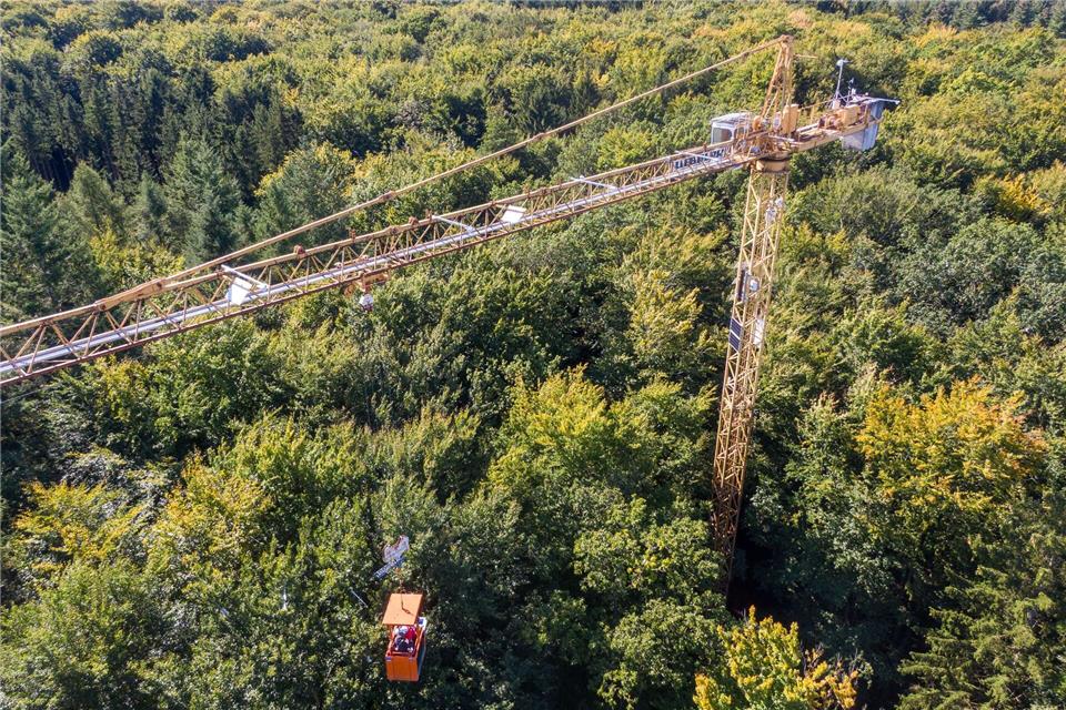 Seit 2022 steht im Wendeforst bei Demmin ein Drehkran. Er wird zu Erforschung des Waldes genutzt.Stefan Sauer/dpa