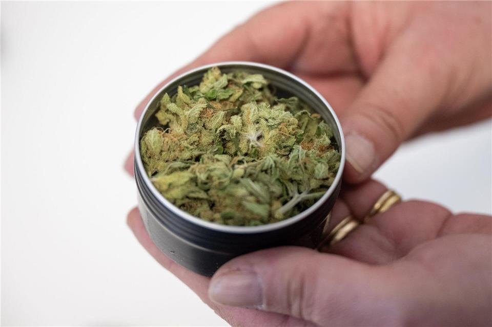 Seit 2024 darf Cannabis in Anbauvereinigungen legal an Mitglieder abgegeben werden. (Archivbild)Christophe Gateau/dpa