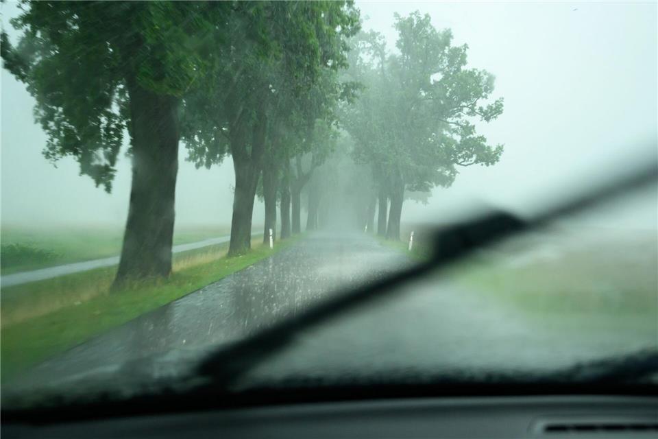 Zahl tödlicher Baumunfälle geht zurück – Gefahr bleibt Seit 30 Jahren gibt es eine Statistik bei den Versicherern zu Unfällen an Straßenbäumen. (Symbolbild)Patrick Pleul/dpa