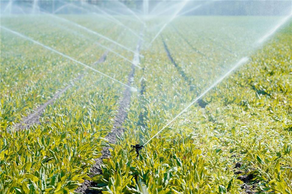 Seit Anfang 2024 muss auch die Landwirtschaft zahlen, wenn sie bestimmte Mengen an Grund- oder Oberflächenwasser entnimmt. (Archivbild)Uwe Anspach/dpa