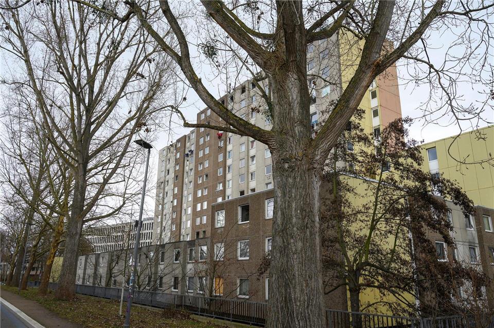 Seit Anfang Dezember laufen laut dem neuen Eigentümer Aufräumarbeiten. (Archvbild)Swen Pförtner/dpa