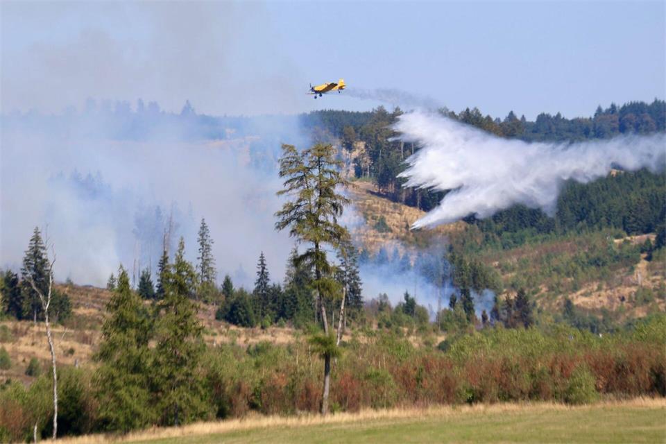 Seit Beginn der Waldbrandsaison wurden in Sachsen-Anhalt 58 Wald- und Vegetationsbrände registriert. (Archivbild) Matthias Bein/dpa