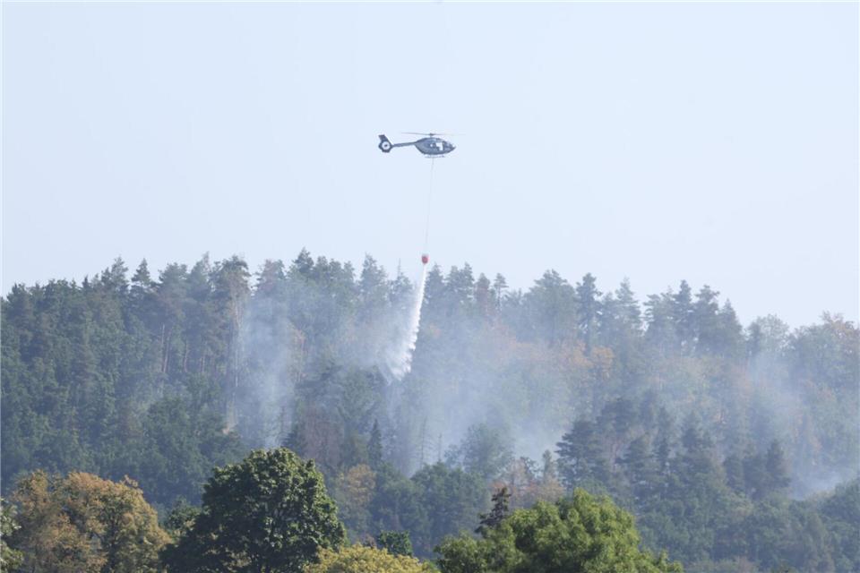 Seit Dienstagabend brennen bei Plauen mehrere Hektar Wald. (Archivbild)Bodo Schackow/dpa