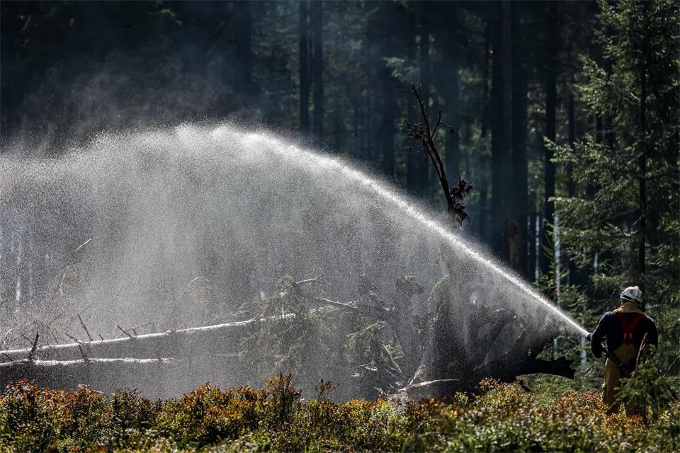 Seit Freitag kämpfen Einsatzkräfte gegen ein Feuer im Hohes Venn. Julien Warnand/BELGA/dpa
