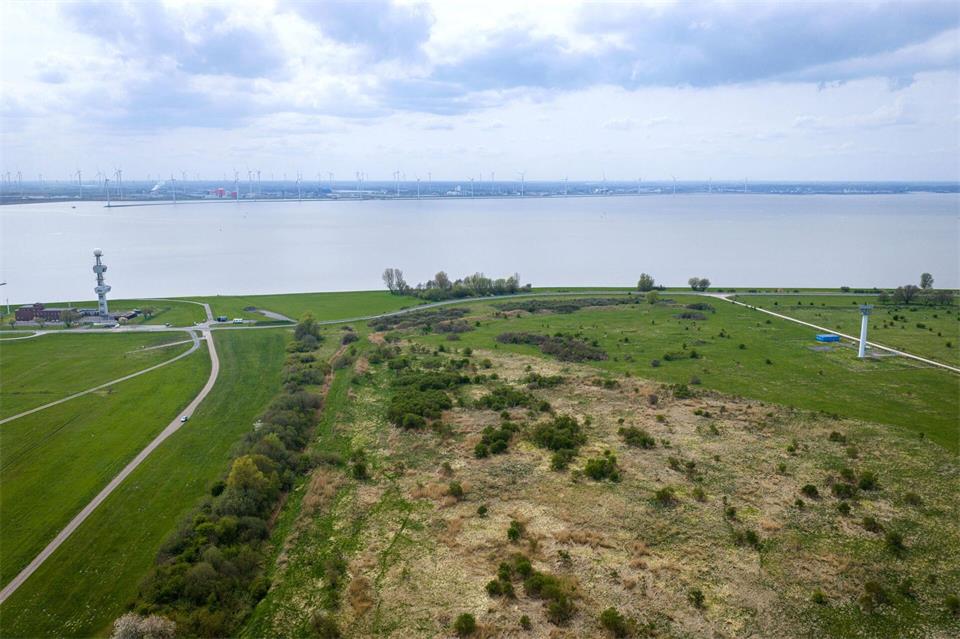 Seit Jahren gibt es Überlegungen von Stadt und Land, wie der Rysumer Nacken zur Entwicklung des Hafens genutzt werden kann. (Archivbild)Sina Schuldt/dpa