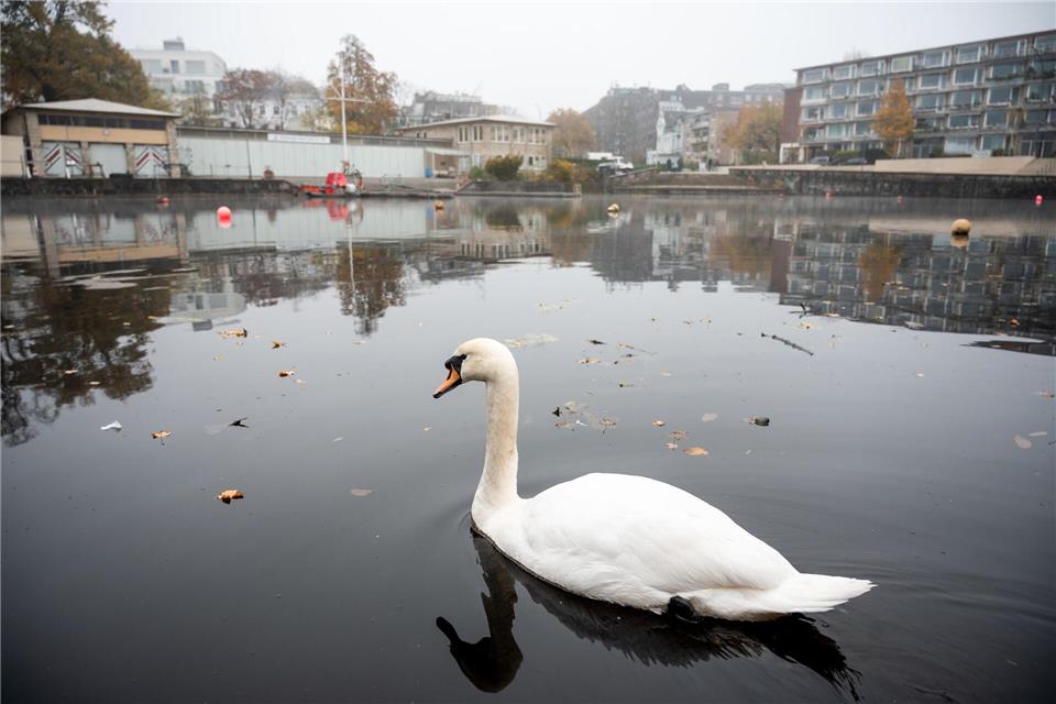 Seit März 2020 hat der Landesbetrieb Straßen, Brücken und Gewässer (LSBG) im Auftrag der Behörde für Verkehr und Mobilitätswende (BVM) den gesamten Bereich rund um die Hohenfelder Bucht saniert.Daniel Bockwoldt/dpa