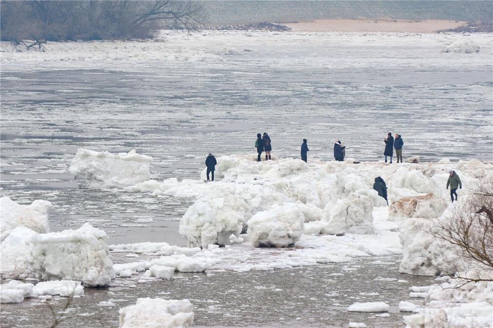 Seit Tagen ziehen die Eisberge bei Geesthacht zahlreiche Besucher an.Bodo Marks/dpa