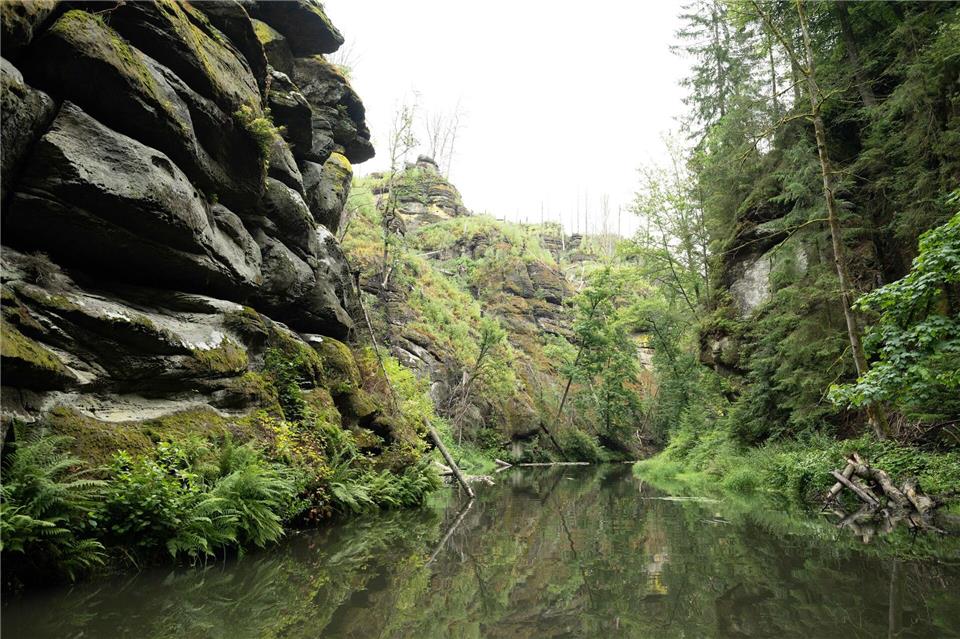 Seit den Waldbränden im Sommer 2022 war die Edmundsklamm aus Sicherheitsgründen wegen der Gefahr von Felsstürzen gesperrt.Sebastian Kahnert/dpa
