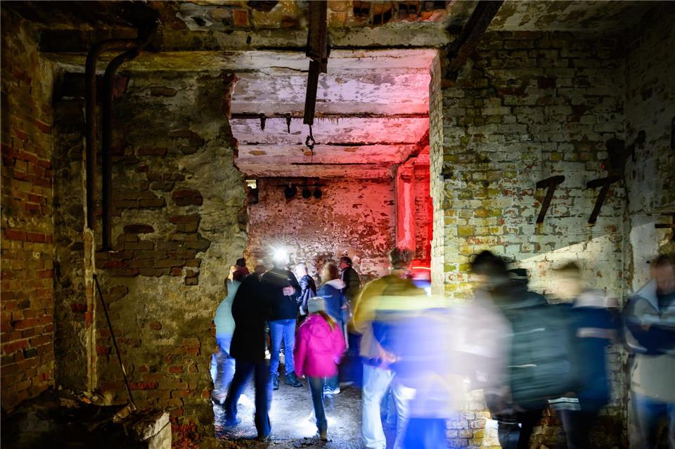 Seit einigen Jahren ist der Fledermausbestand rückläufig.Patrick Pleul/dpa