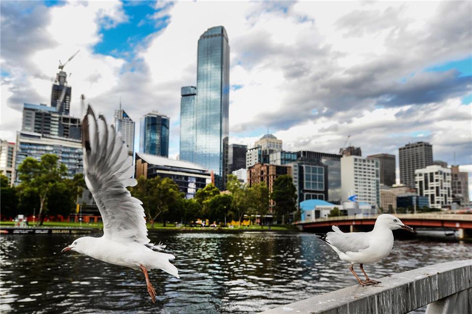 Seit mehreren Jahren grassiert die größte je dokumentierte Vogelgrippewelle. Nun fürchtet Australien um seine Tiere. (Archivbild)picture alliance / Filip Singer/EPA/dpa