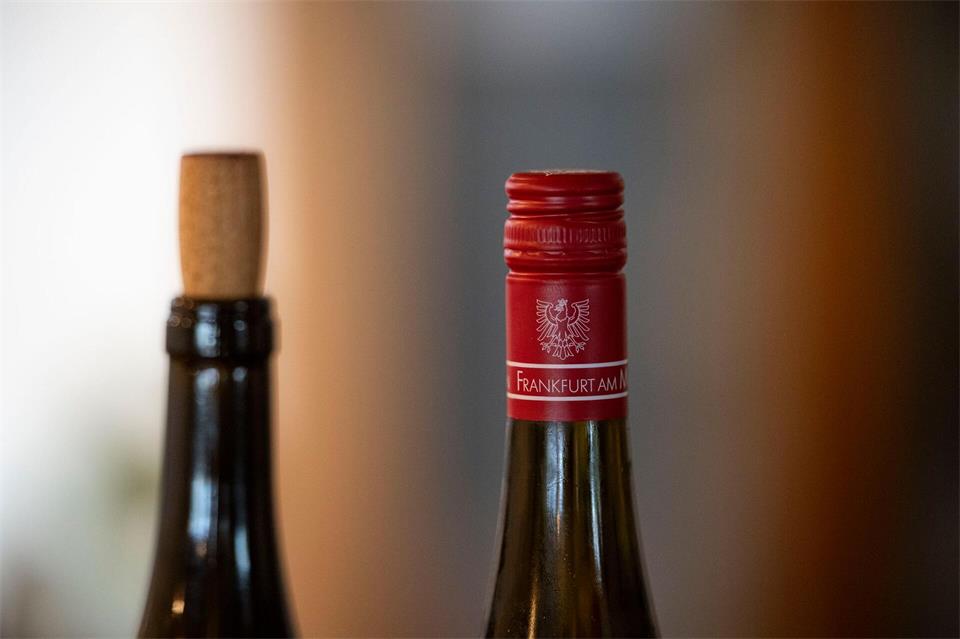 Seit rund 30 Jahren wird der Weinanbau von einem privaten Pächter betrieben.Hannes P. Albert/dpa