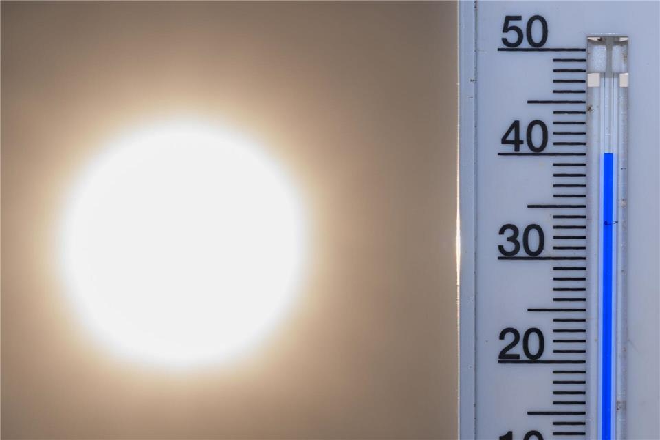 Selbst die 40-Grad-Marke wurde in dem Ort in Brandenburg übertroffen. (Symbolbild)Patrick Pleul/dpa