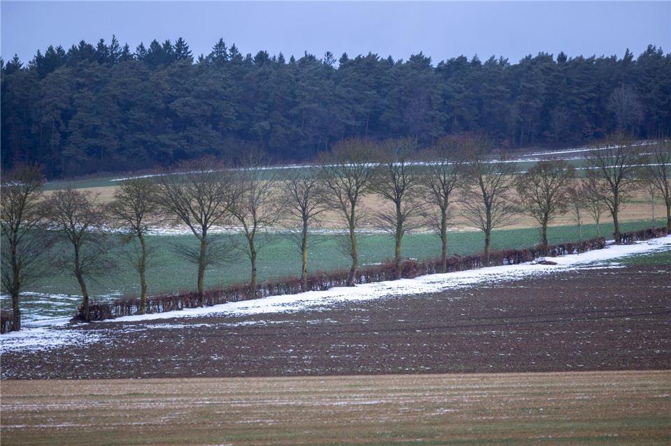 Selbst in der Eifel sind Wiesen nur noch leicht mit Schnee bedeckt.Thomas Banneyer/dpa