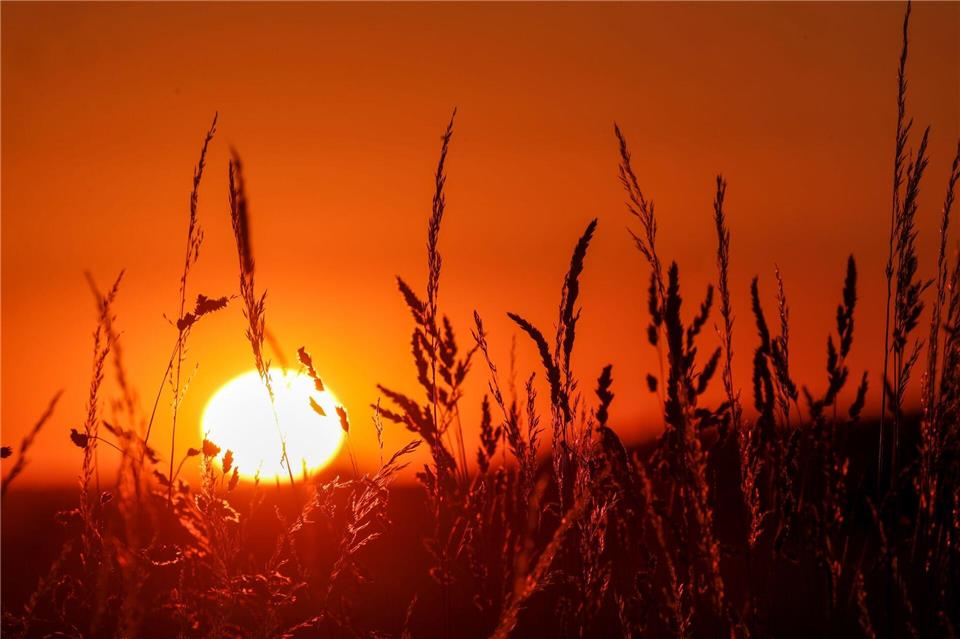Selbst nachts bleibt es zum Teil bei mehr als 20 Grad. (Archivbild)Thomas Warnack/dpa