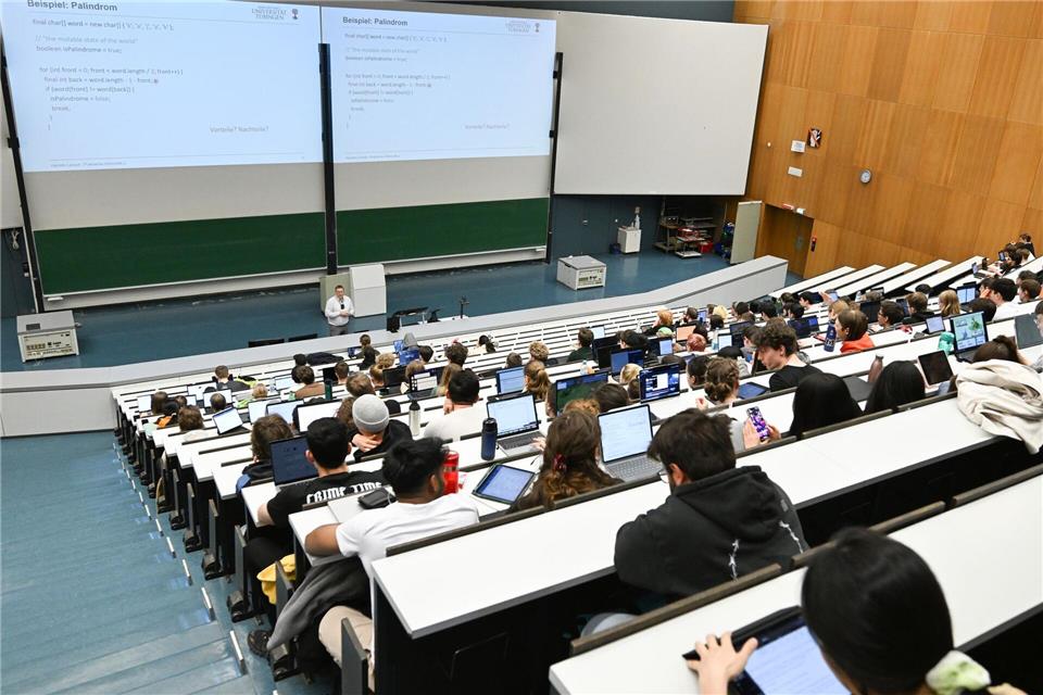 Seltene Spinnen wurden im Keller eines Hörsaalzentrums in Tübingen entdeckt. (Symbolfoto)Bernd Weißbrod/dpa