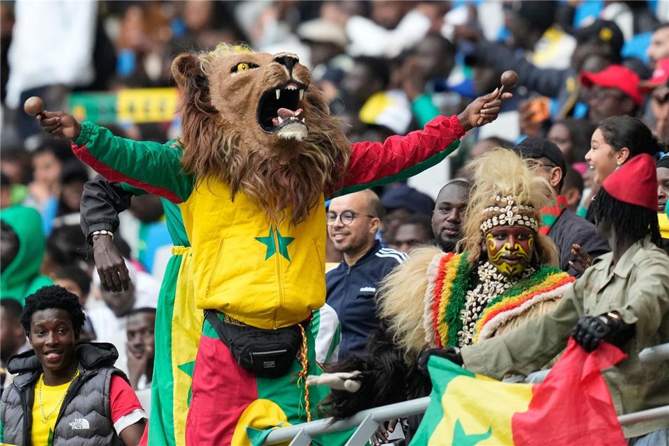 Senegalesische Fans beim Spiel im Afrika Cup gegen den Sudan. Eine Anhängerin kam zuvor bei einem Verkehrsunfall ums Leben.Mosa’ab Elshamy/AP/dpa