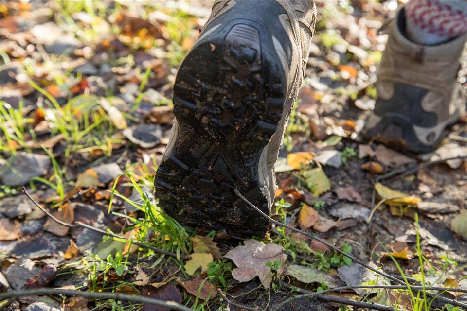 Ach du Kacke! So befreit man seine Schuhe von Hundekot Shit Happens! Grobe Verschmutzungen können zunächst mit einem Taschentuch oder Blättern entfernt werden.Christin Klose/dpa-tmn