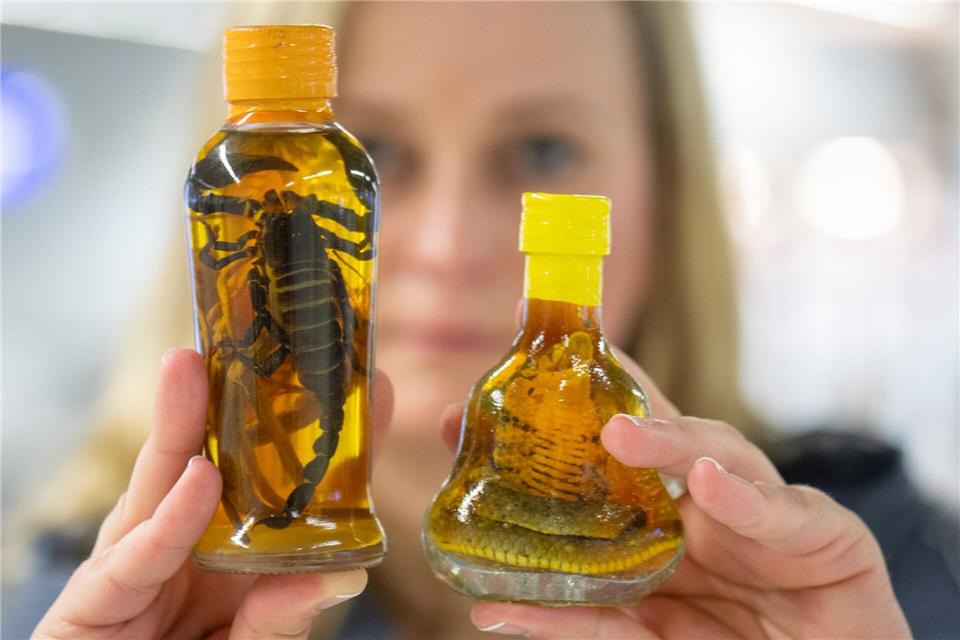 Sichergestellte Flaschen mit sogenanntem „Snakewine“ - Alkohol mit darin eingelegten Kobras und Skorpionen. Boris Roessler/dpa