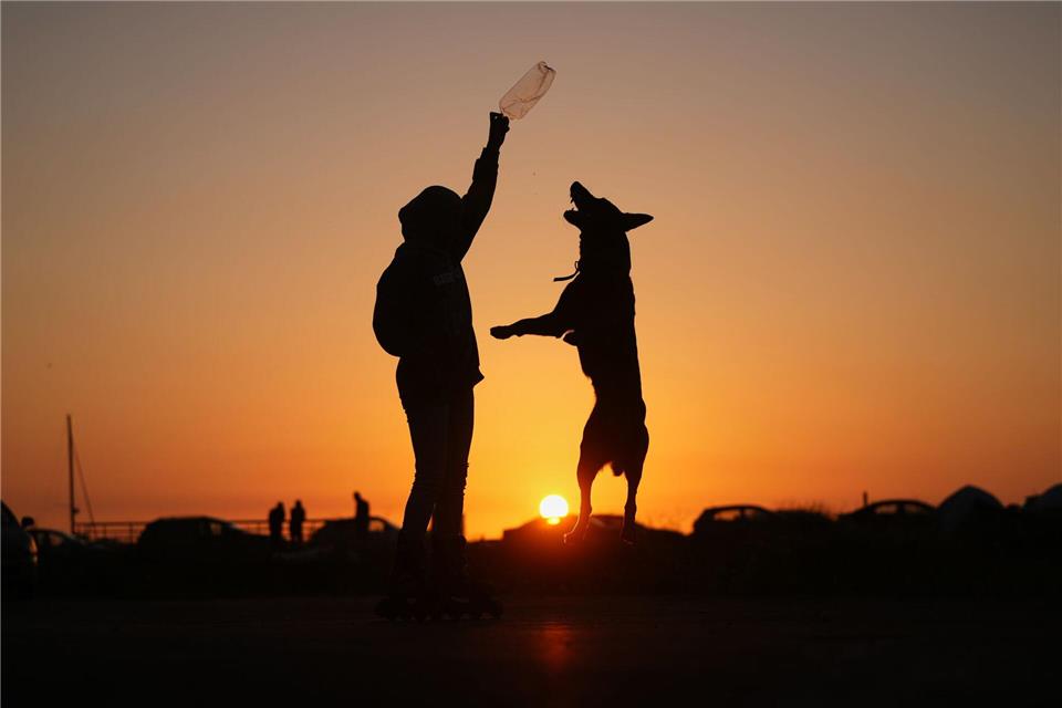 Sidra Mohamad Saadeh, 13, die durch israelische Luftangriffe in Dahija, den südlichen Vororten Beiruts, vertrieben wurde, spielt bei Sonnenuntergang mit einem Hund namens Rocky auf einem öffentlichen Platz an der Beiruter Uferpromenade.Hassan Ammar/AP/dpa