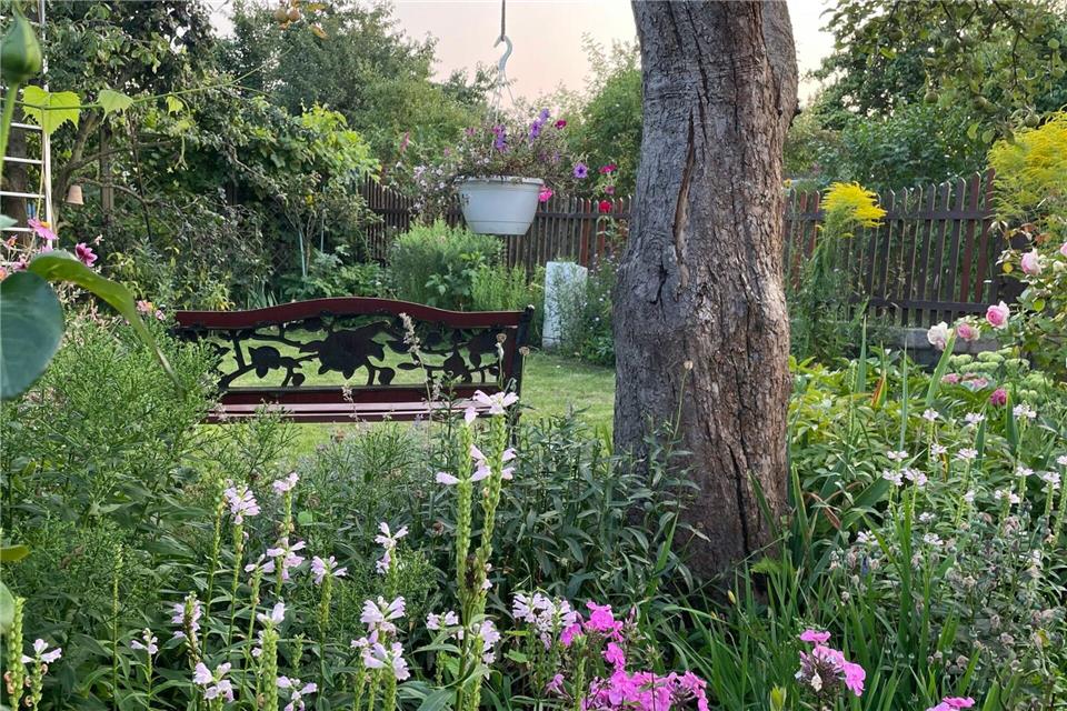 Sieger im Landeswettbewerb 2025 wurde die Kleingartenanlage „Bornholm I“ in Prenzlauer Berg.Nicole Schuldt/Landesverband Berlin der Gartenfreunde e. V./dpa