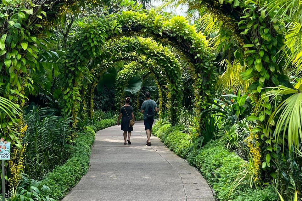 Singapur gilt als eine der grünsten Metropolen der Welt. (Archivbild)Carola Frentzen/dpa