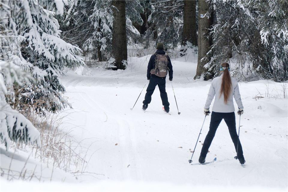Ski-Langläufer unterwegs durch den Wald am Fichtelberg. Sebastian Willnow/dpa