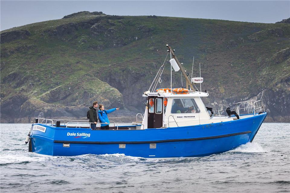 Skipper Charlie Baldwin erzählt an Bord der „Dale Princess“ von der Erfolgsgeschichte der Puffins.Drew Buckley/Crown Copyright (2025) Welsh Government/dpa-tmn