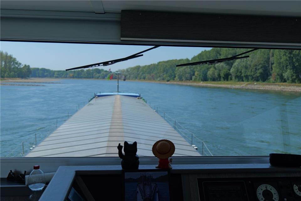 So blickt der Schiffsführer über den Rhein.René Priebe/dpa