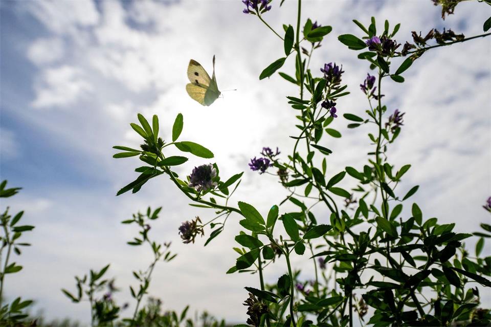 So präsentiert sich der Frühherbst in Bayern.Pia Bayer/dpa