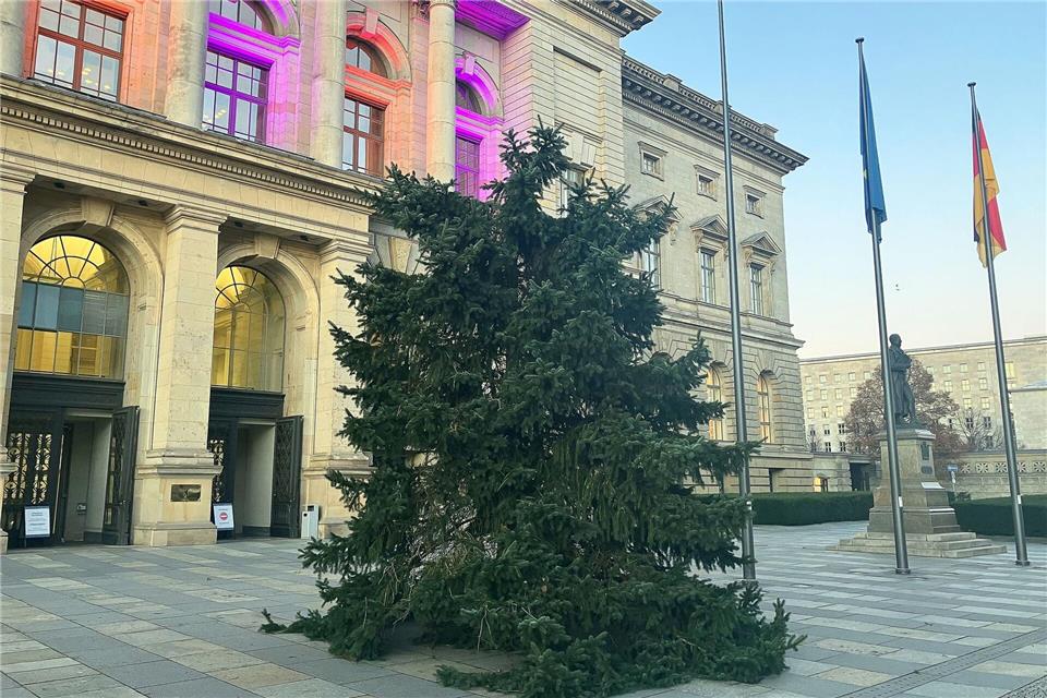 So sah der zerbrochene Baum am Abgeordnetenhaus am vergangenen Freitag aus. (Archivbild) Stefan Kruse/dpa