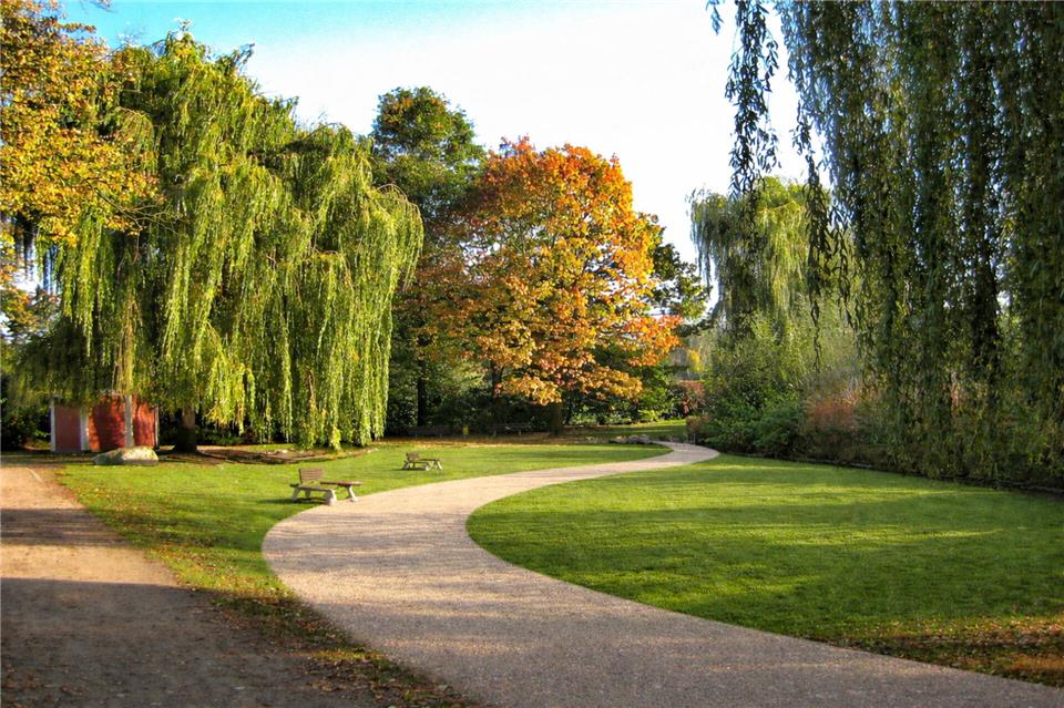 So soll das Gelände aussehen, wenn der Ententeich verfüllt ist.