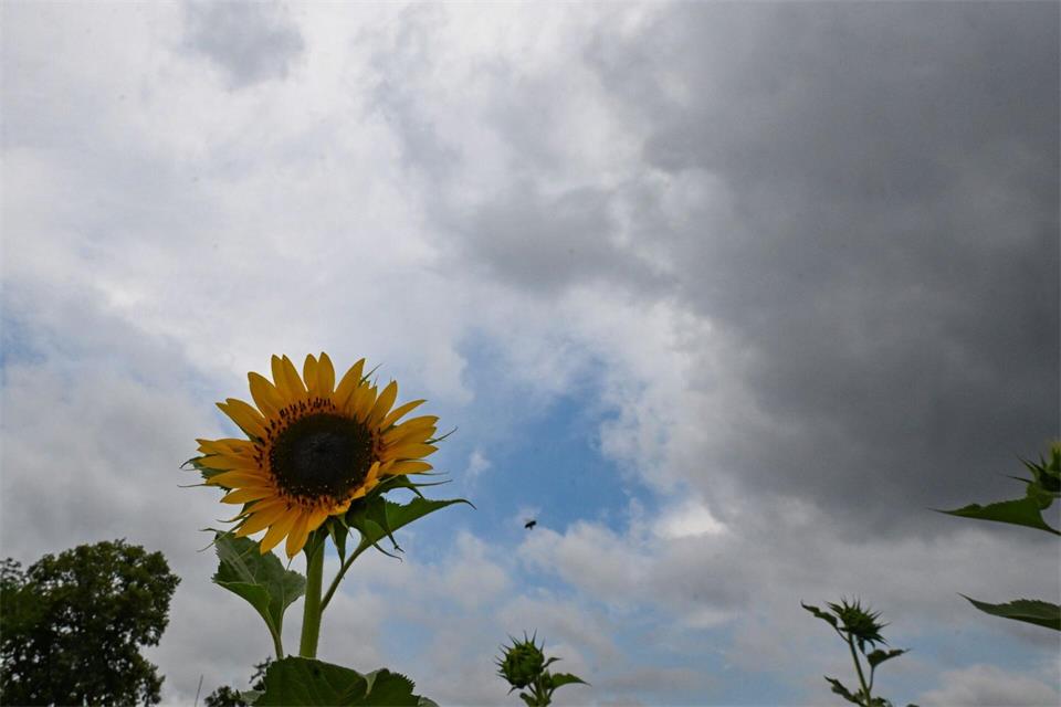 So wird das Wochenend-Wetter. (Archivbild) Bernd Weißbrod/dpa