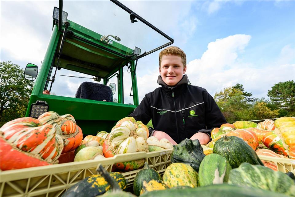 Sören Schulz: Mit 15 Jahren Gemüsebauer mit Leib und Seele Sören Schulz, 15 Jahre alter Gemüsebauer, sitzt neben seinem Traktor und selbst angebauten Kürbissen. Philipp Schulze/dpa