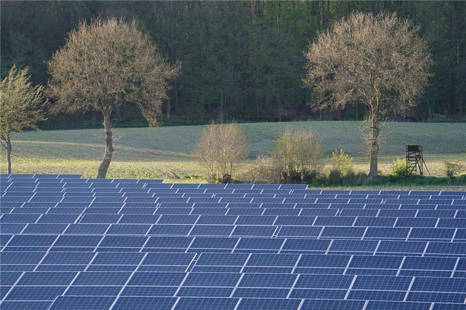 Solaranlagen müssen nicht immer so aussehen, sie können auch so gestaltet werden, dass sie einen Vorteil für die Biodiversität mit sich bringen. (Symbolbild)Marcus Brandt/dpa