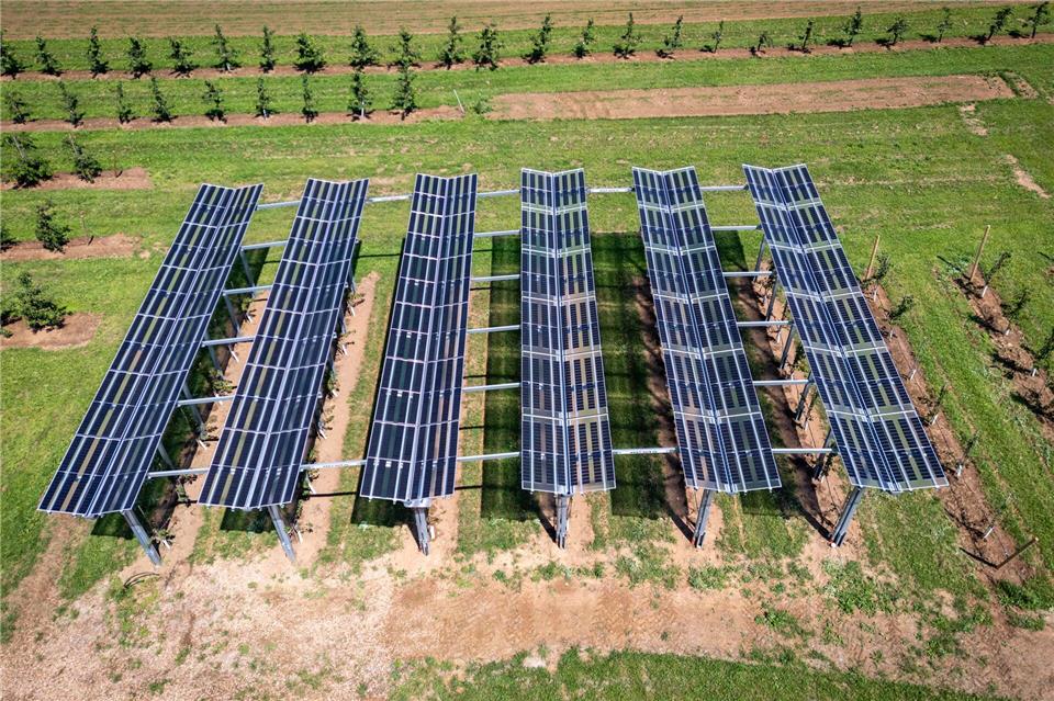 Solarmodule spenden Kirschbäumen Schatten - im Landkreis Forchheim läuft dieses Modellprojekt.Daniel Karmann/dpa