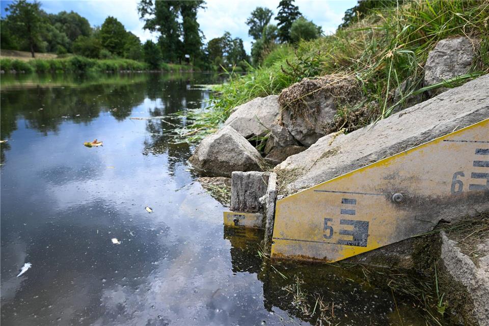 Solch ausgeprägte Niedrigwasserverhältnisse treten den Experten nach an der oberen Donau üblicherweise erst im Spätsommer oder Herbst auf. Felix Kästle/dpa