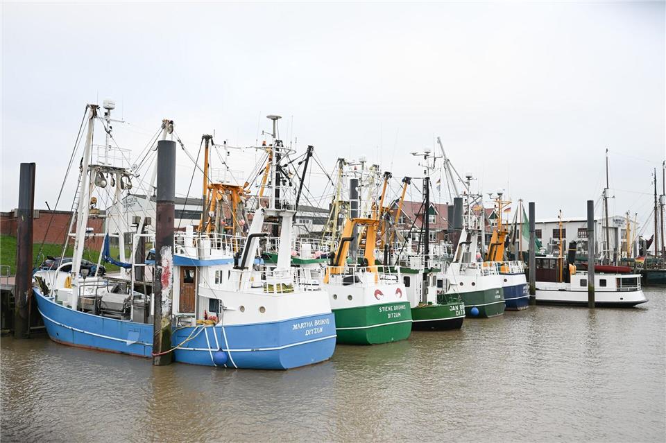 Solche traditionellen Kutter könnten bald weniger an der Küste zu sehen sein. Lars Penning/dpa