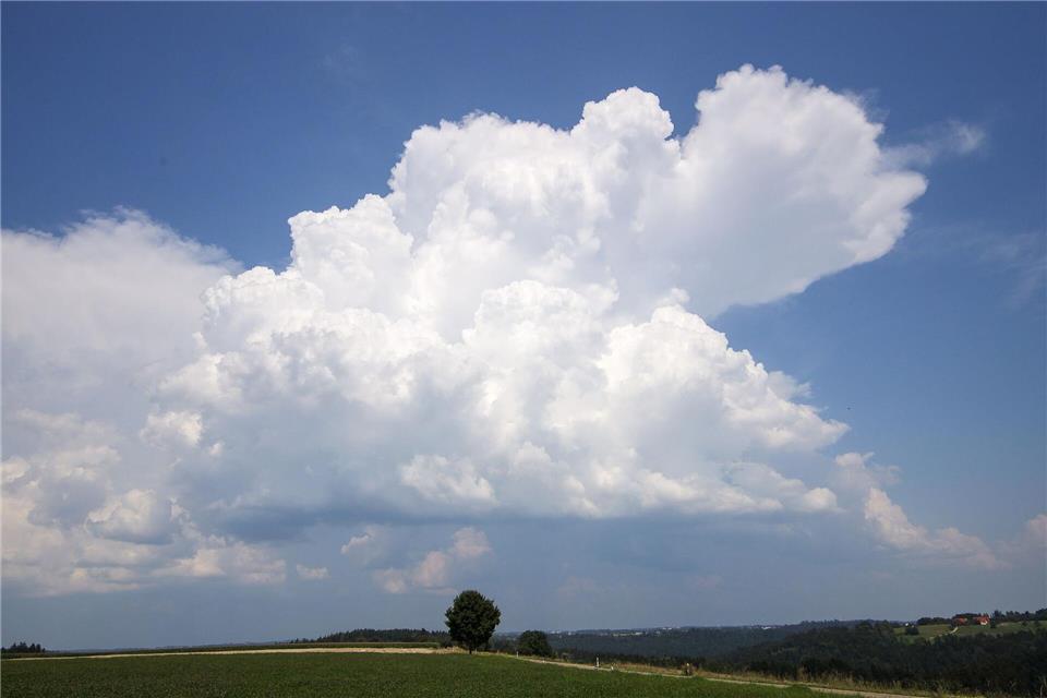 Sommerliches Wetter wird in Rheinland-Pfalz und im Saarland erwartet. (Archivbild)Alexander Wolf/onw-images/dpa