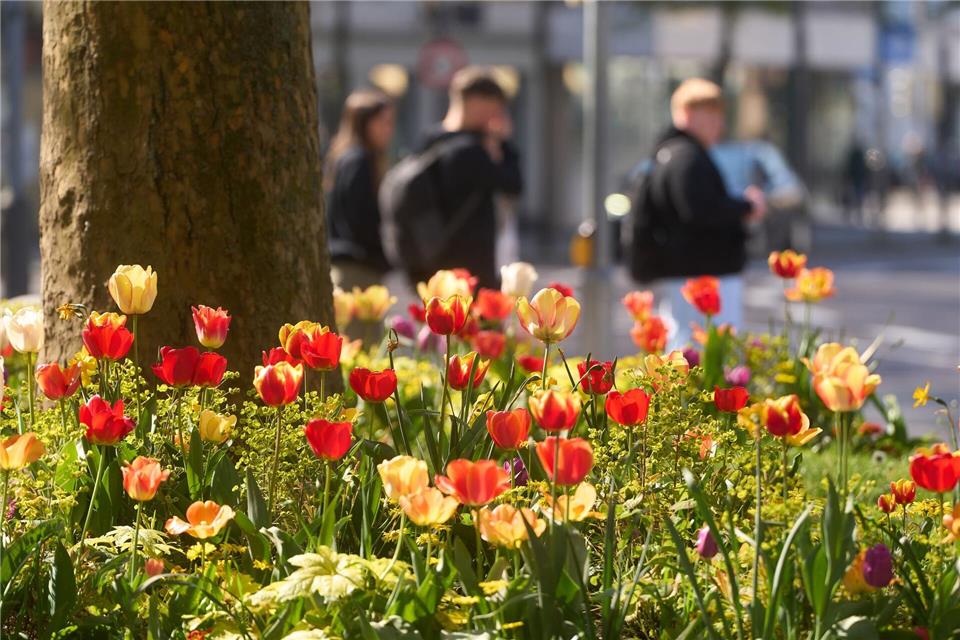Sonne ist auch in den nächsten Tagen zu erwarten. (Archivbild)Thomas Frey/dpa