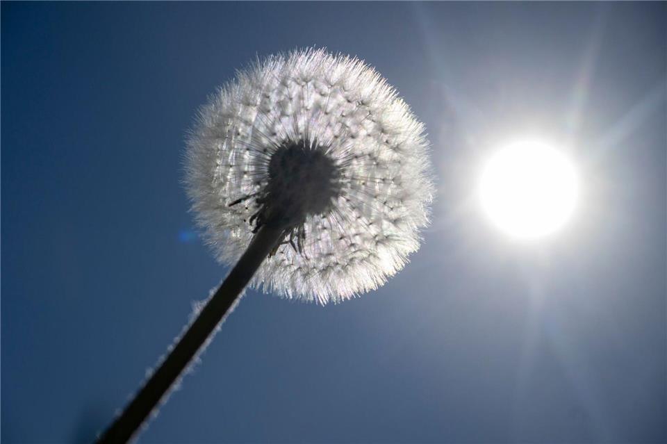 Sonne satt ist für die kommenden Tage in Bayern angekündigt. (Archivbild)Stefan Puchner/dpa